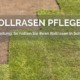 Anleitung: Rollrasen-Pflegetipps